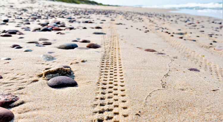 Radspur am Strand